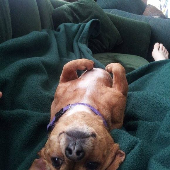 Meet your Posher, Natalie - Picture 1 of 1